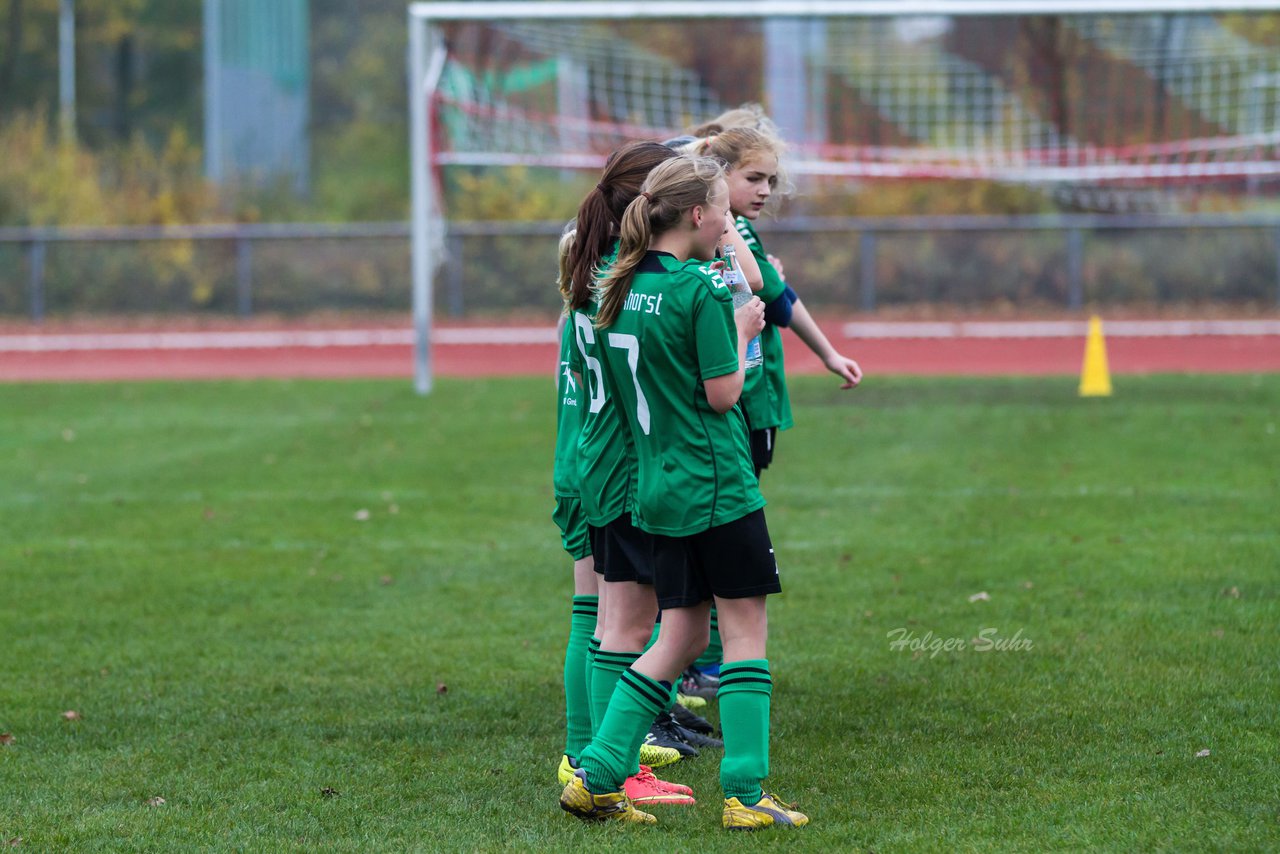 Bild 217 - C-Juniorinnen Kaltenkirchener TS - SV Bokhorst : Ergebnis: 1:2